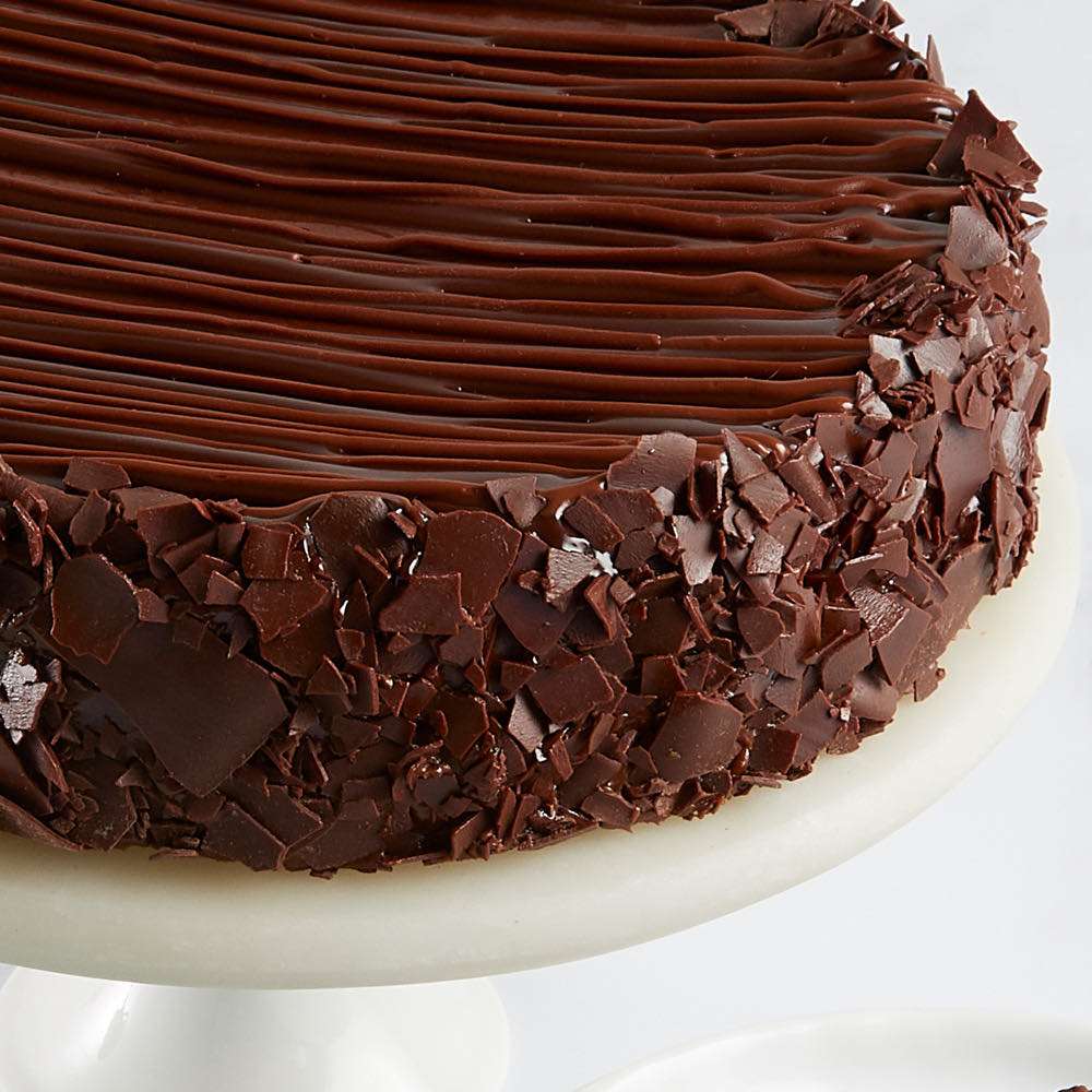 Triple Chocolate Enrobed Brownie Cake Close-up