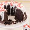 Zoomed in Image of Chocolate Peppermint Cake