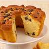 Zoomed in Image of Chocolate Chip Coffee Cake