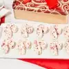 Zoomed in Image of Candy Cane Cookie Tin