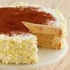 Zoomed in Image of Tres Leches Cake