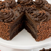 Zoomed in Image of Chocolate Truffle Cake