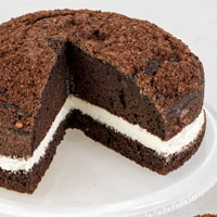 Zoomed in Image of Chocolate and Vanilla Buttercream Cake
