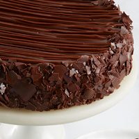 Zoomed in Image of Triple Chocolate Enrobed Brownie Cake