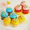 Wide View Image 9pc Birthday Celebration Cupcakes