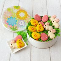 Product Easter Cookies Purchased by Reviewer
